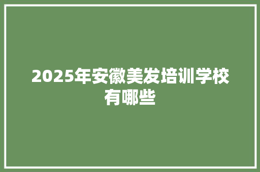 2025年安徽美发培训学校有哪些