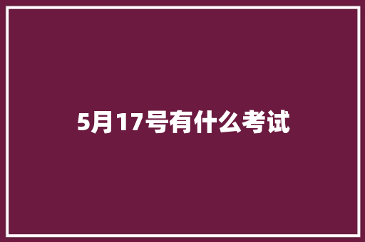 5月17号有什么考试