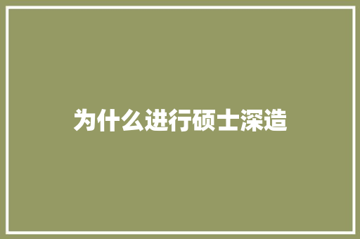 为什么进行硕士深造