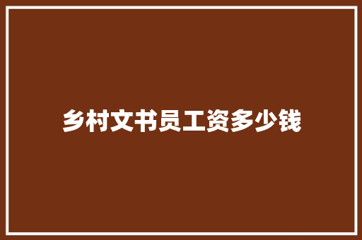 乡村文书员工资多少钱