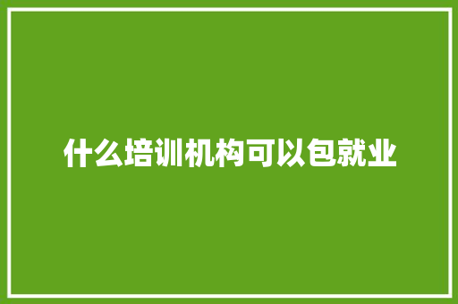 什么培训机构可以包就业