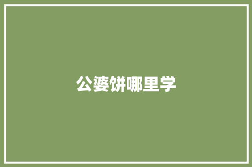 公婆饼哪里学 记叙文范文