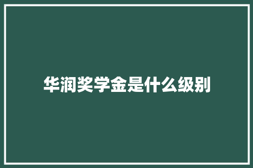 华润奖学金是什么级别