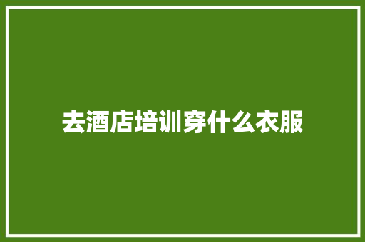 去酒店培训穿什么衣服