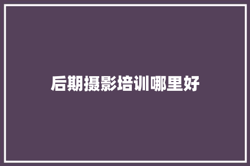 后期摄影培训哪里好 应用文范文