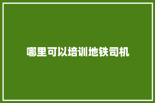 哪里可以培训地铁司机 简历范文