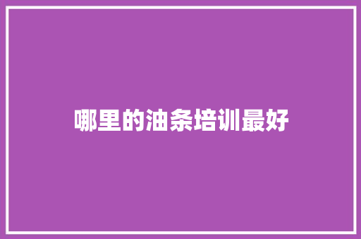 哪里的油条培训最好 诗歌范文