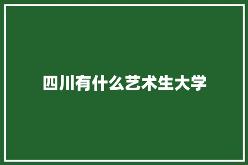 四川有什么艺术生大学 说明文范文