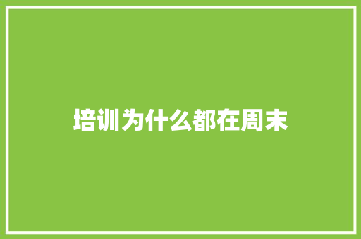 培训为什么都在周末 简历范文