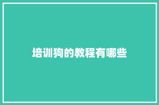 培训狗的教程有哪些