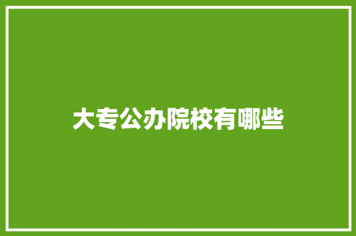 大专公办院校有哪些