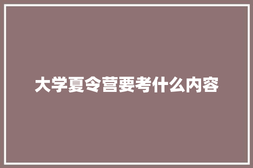 大学夏令营要考什么内容 商业计划书范文