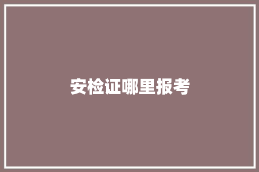安检证哪里报考