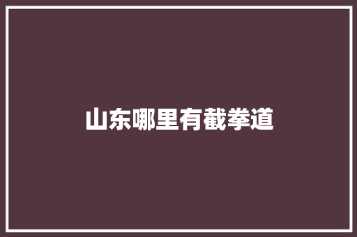 山东哪里有截拳道 诗歌范文
