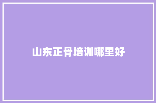 山东正骨培训哪里好 应用文范文