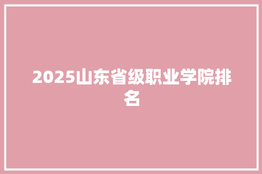 2025山东省级职业学院排名