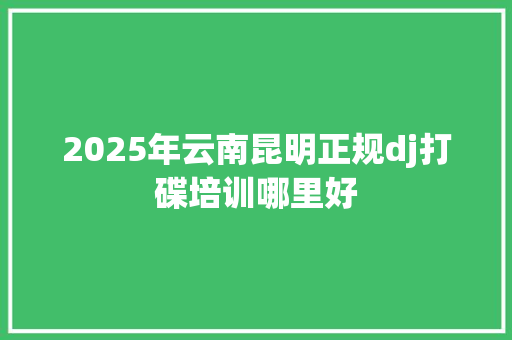 2025年云南昆明正规dj打碟培训哪里好 说明文范文