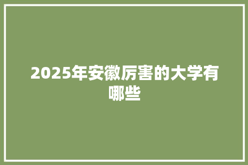 2025年安徽厉害的大学有哪些 商业计划书范文