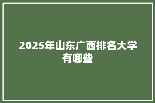 2025年山东广西排名大学有哪些