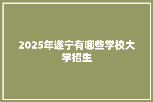 2025年遂宁有哪些学校大学招生