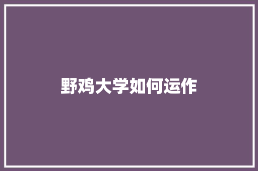 野鸡大学如何运作