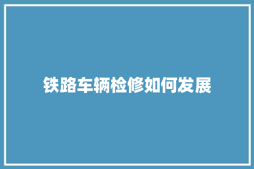 铁路车辆检修如何发展 记叙文范文