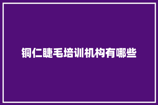 铜仁睫毛培训机构有哪些