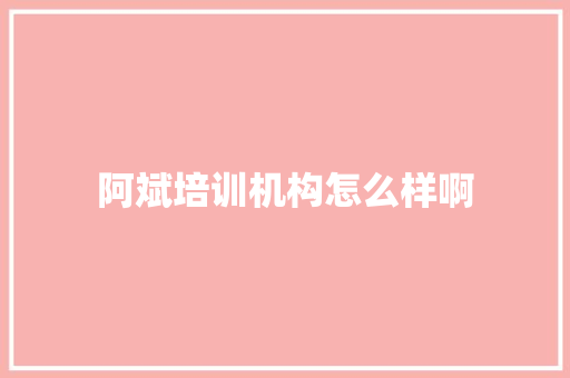 阿斌培训机构怎么样啊