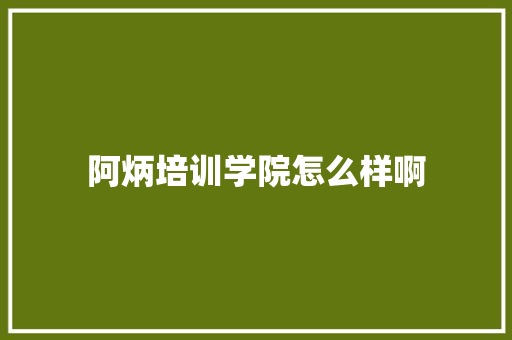 阿炳培训学院怎么样啊