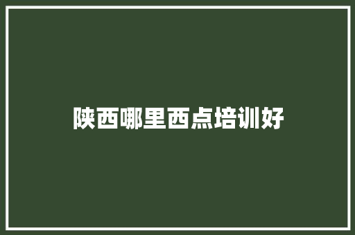 陕西哪里西点培训好