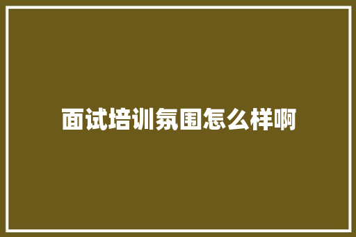 面试培训氛围怎么样啊