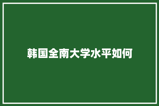 韩国全南大学水平如何