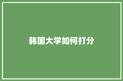 韩国大学如何打分