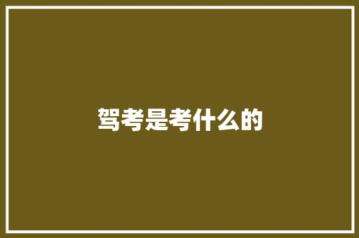 驾考是考什么的