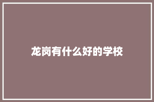 龙岗有什么好的学校