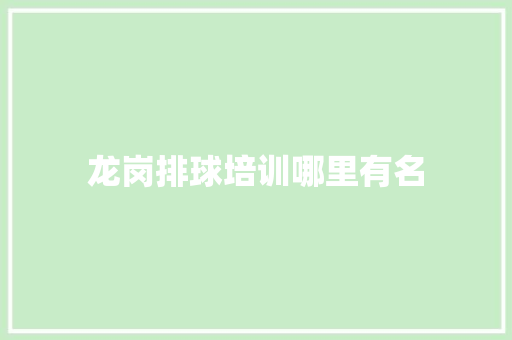 龙岗排球培训哪里有名