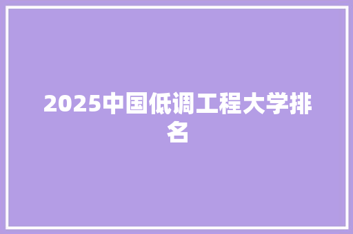 2025中国低调工程大学排名