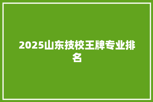 2025山东技校王牌专业排名