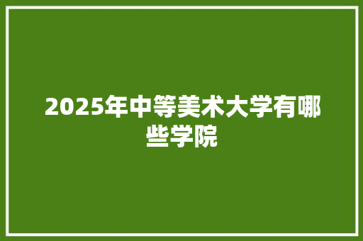 2025年中等美术大学有哪些学院