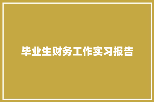 毕业生财务工作实习报告 商业计划书范文