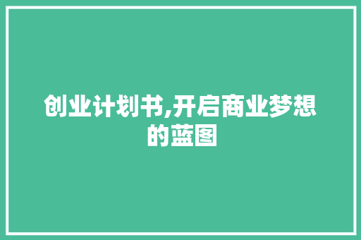 创业计划书,开启商业梦想的蓝图