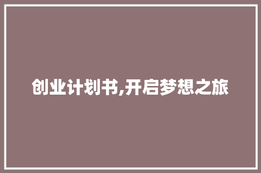 创业计划书,开启梦想之旅，迈向成功之路