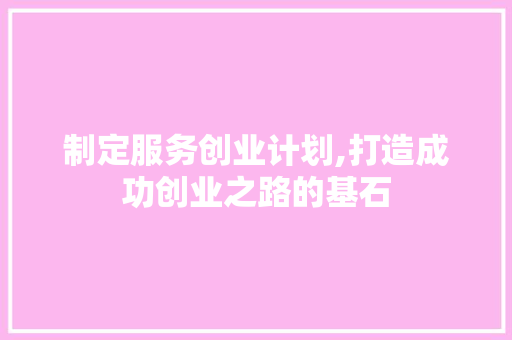 制定服务创业计划,打造成功创业之路的基石 应用文范文