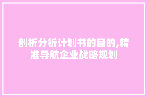 剖析分析计划书的目的,精准导航企业战略规划 商业计划书范文