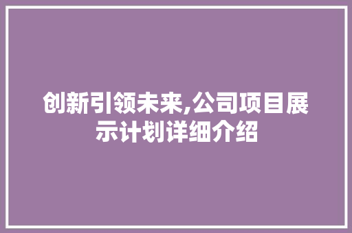 创新引领未来,公司项目展示计划详细介绍