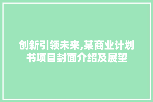 创新引领未来,某商业计划书项目封面介绍及展望