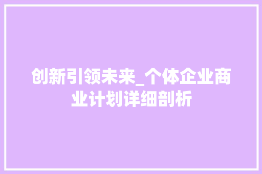 创新引领未来_个体企业商业计划详细剖析