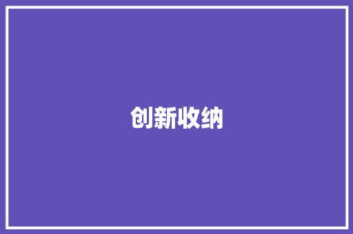 创新收纳，打造高效空间_收纳架创意计划详细介绍