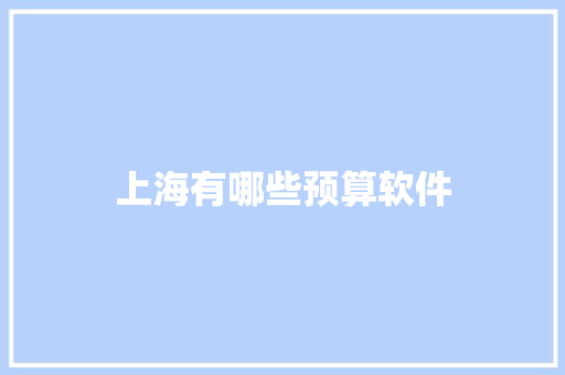 上海有哪些预算软件 演讲稿范文