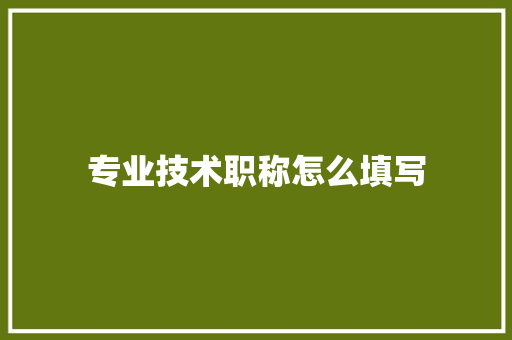 专业技术职称怎么填写